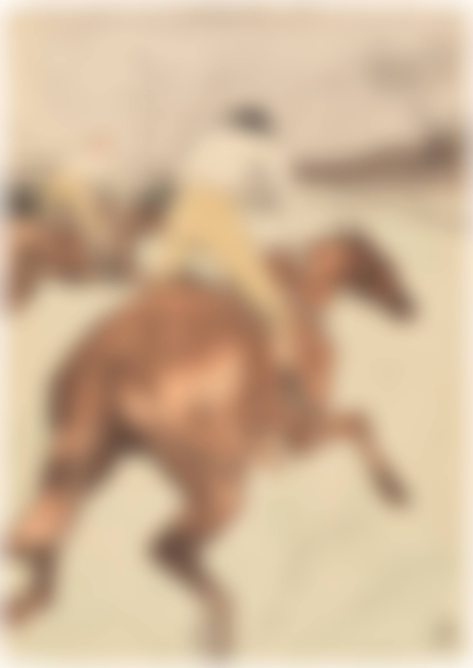 Le Jockey (The Jockey) (D. 279, A. 365, W. 308) (preview)