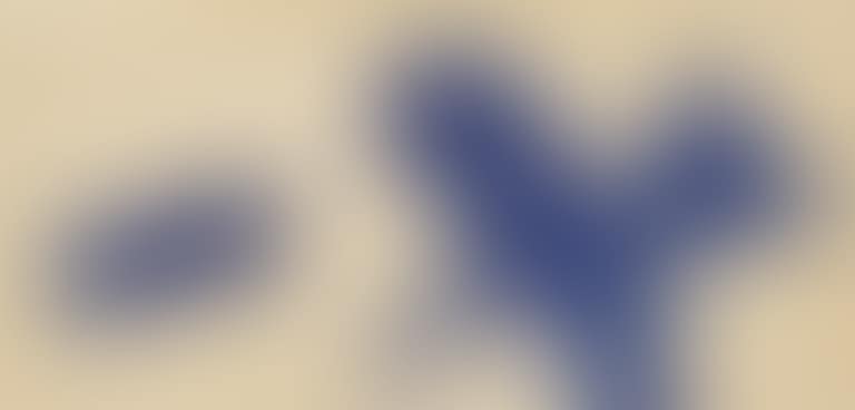 Oiseau bleu (preview)