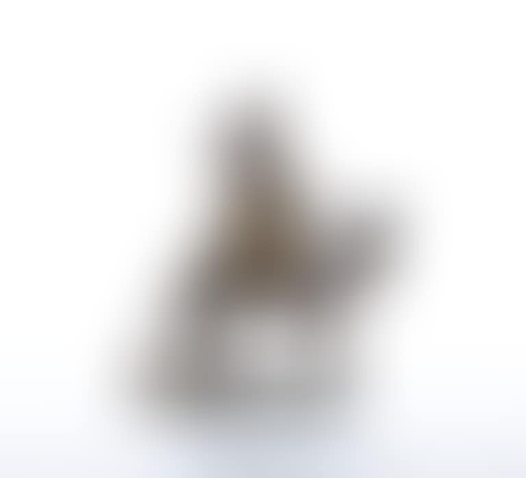 “Arab camel driver” (preview)
