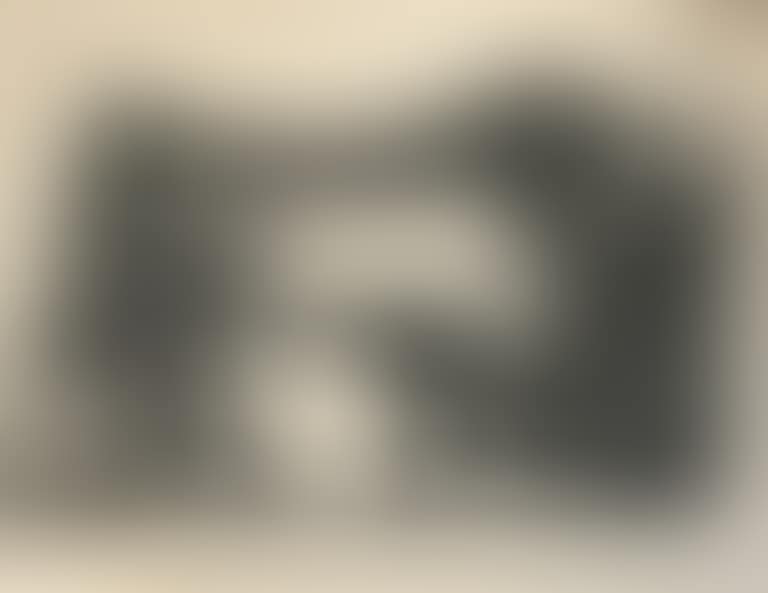 Black Bull (preview)