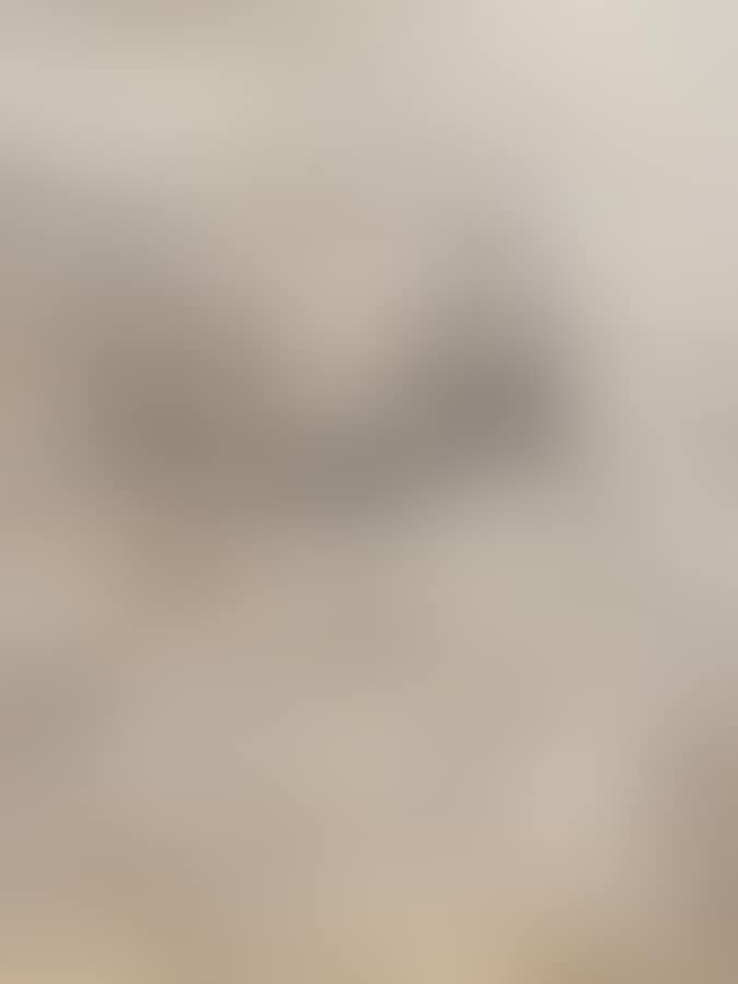Religious (preview)
