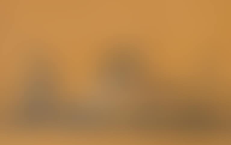Landscape (preview)