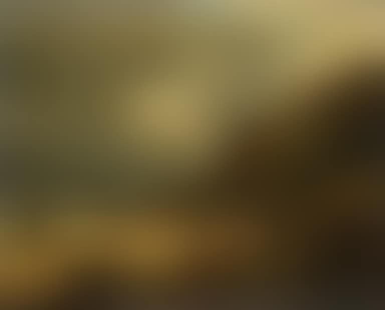 The Isle of Wight? (preview)