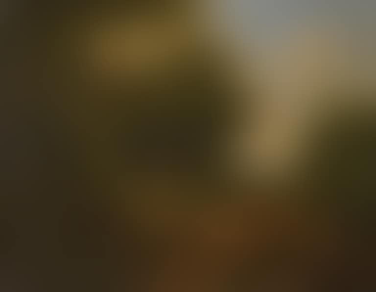 Landscape with a shepherd (preview)
