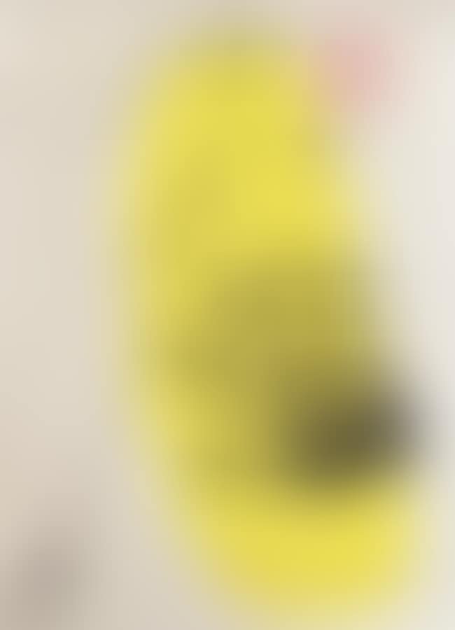 The hand (preview)