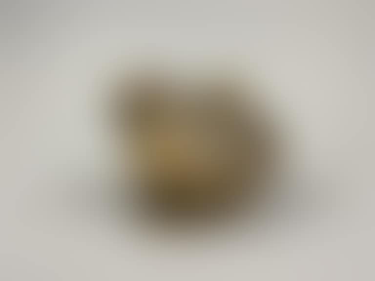 Quail-shaped box in slip or fine earthenware (preview)