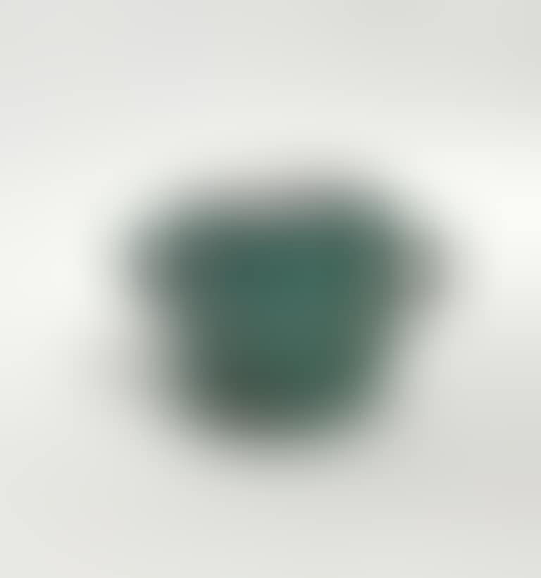 Two-handled pot (preview)