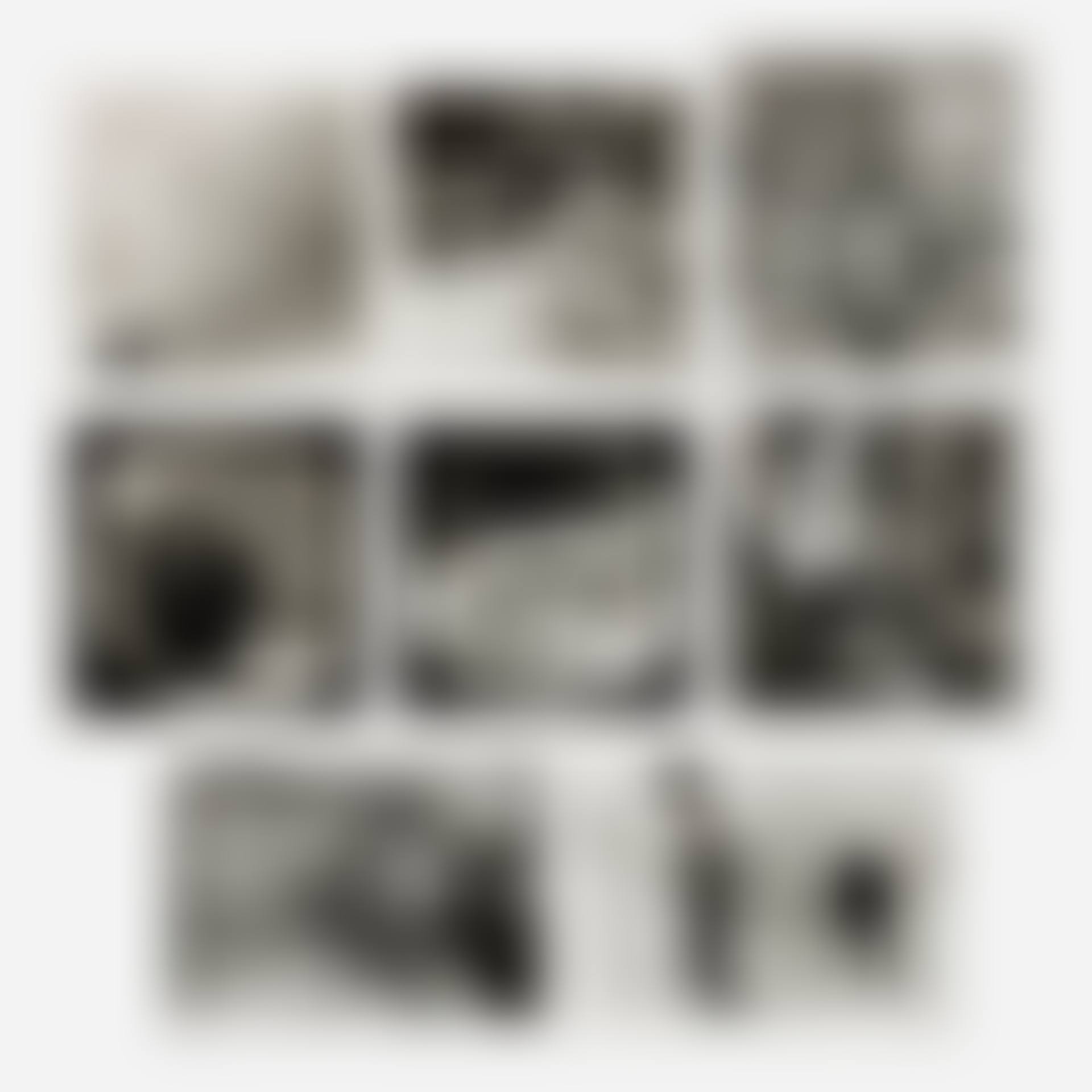 Animalia (preview)