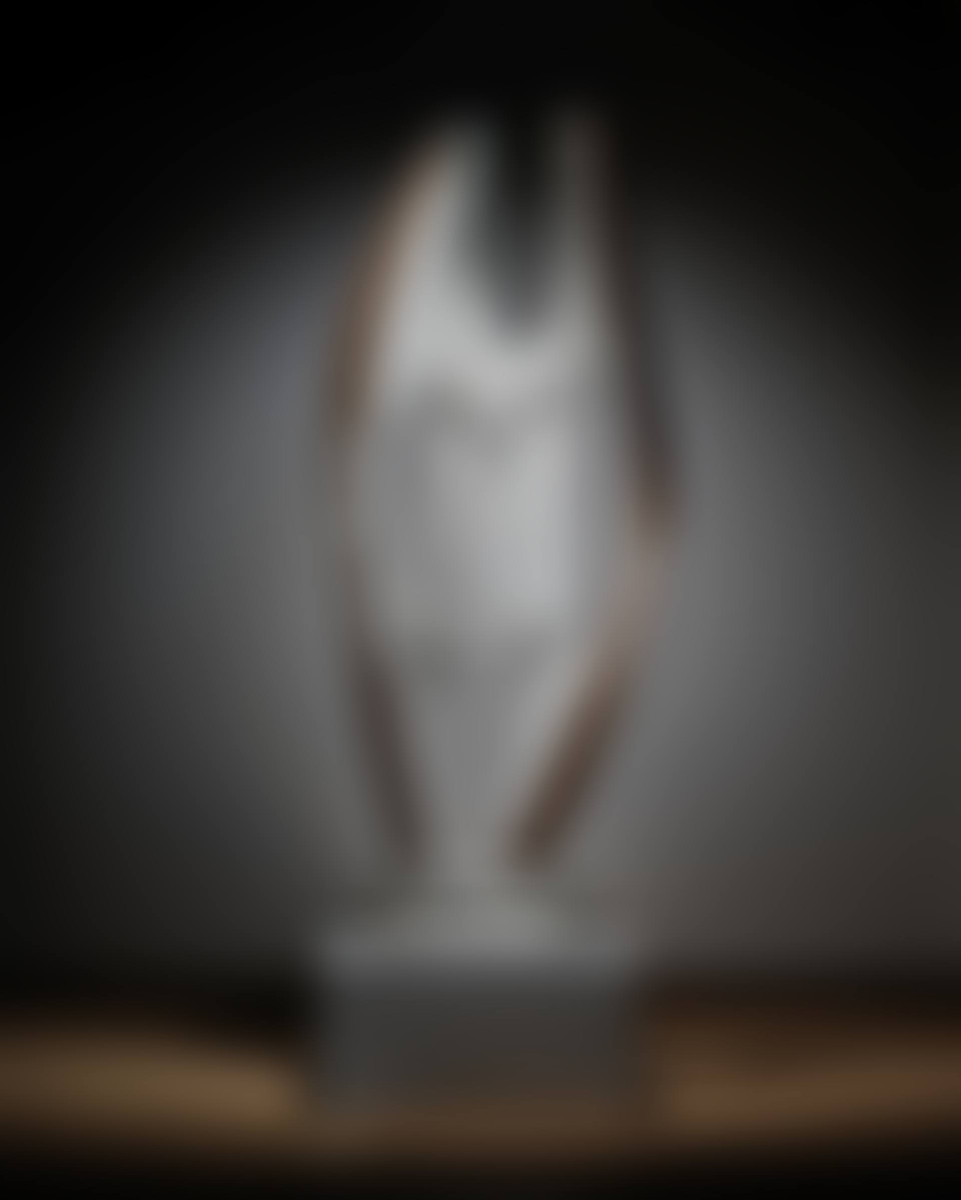 Winged Figure I (preview)