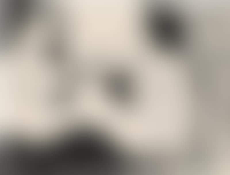 Lithograph (preview)