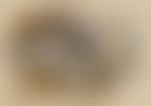 Nature morte (preview)