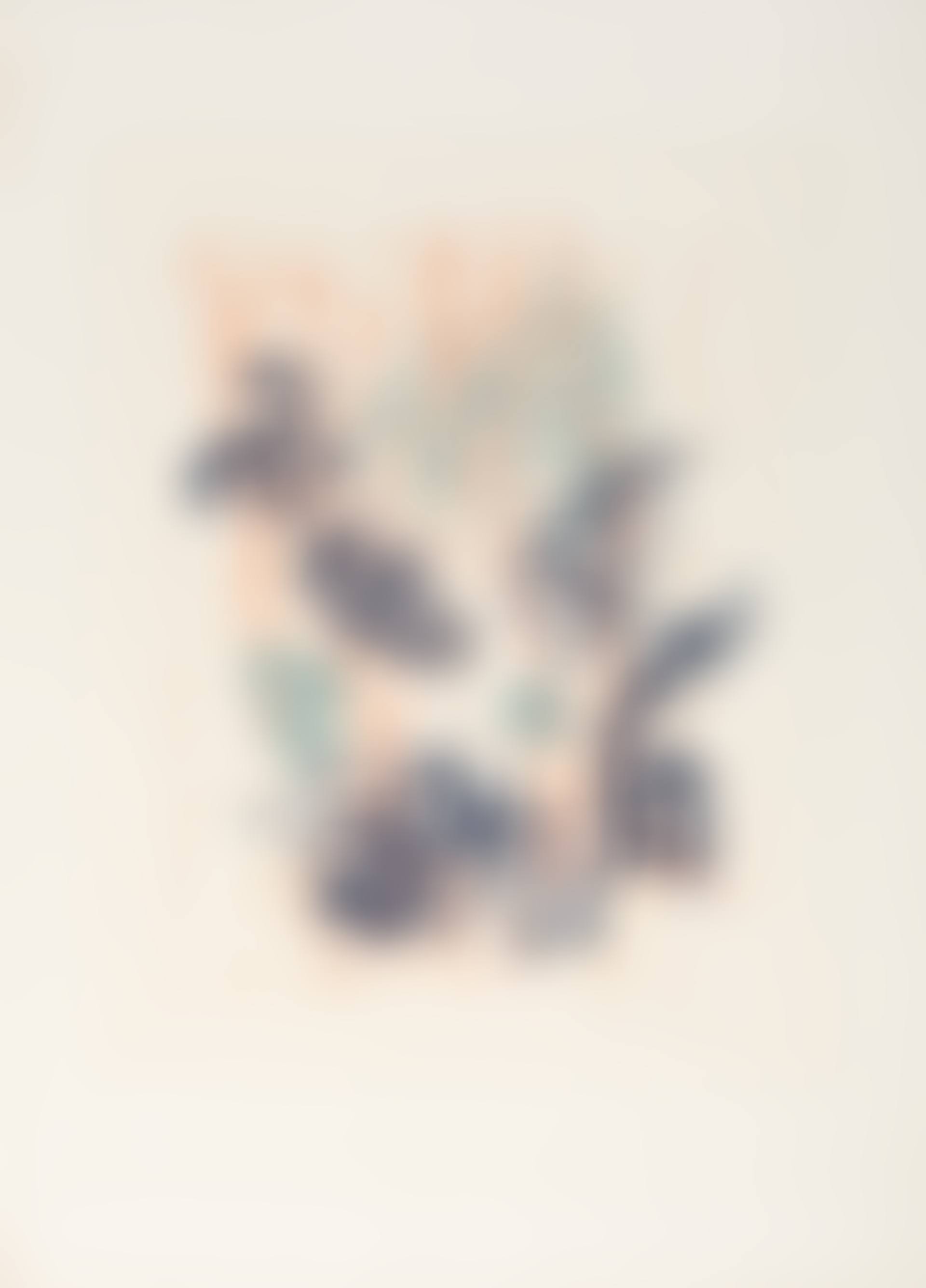 Ohne Titel (preview)