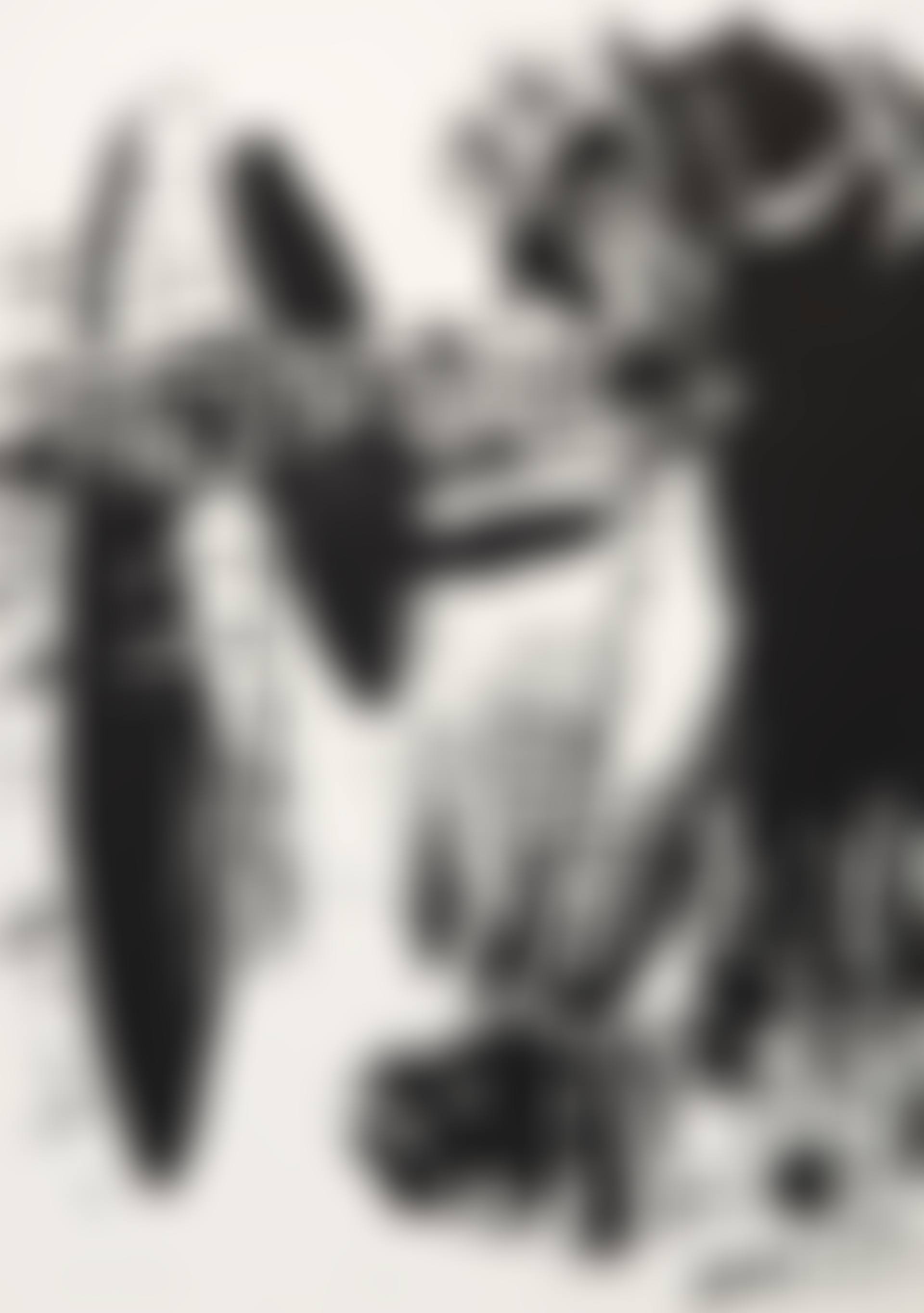 Die Reise (preview)