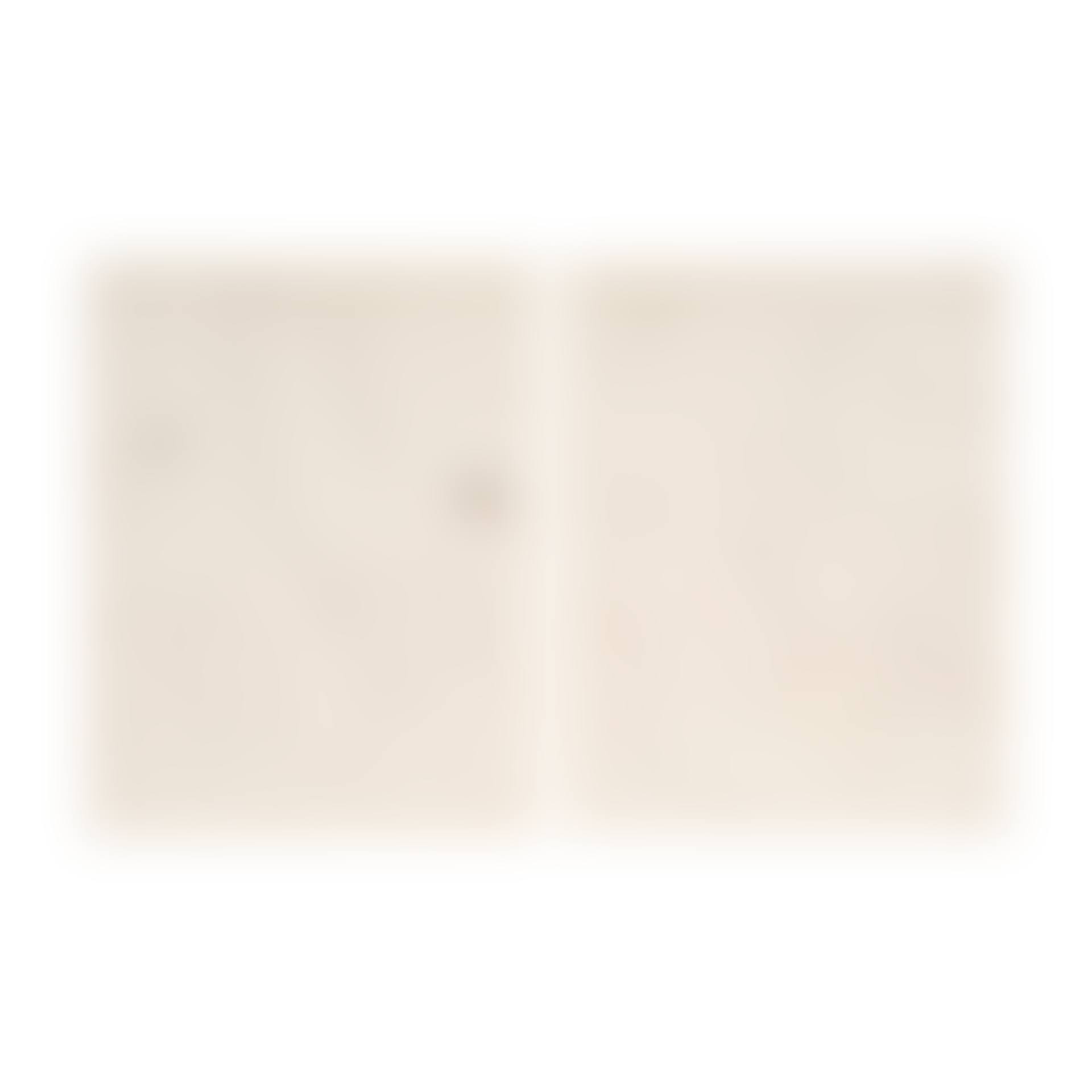 Journal d"un graveur (preview)