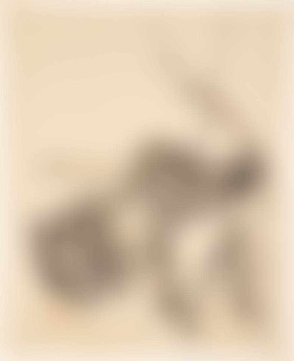 ”Beim Herausziehen des Bootes” (preview)