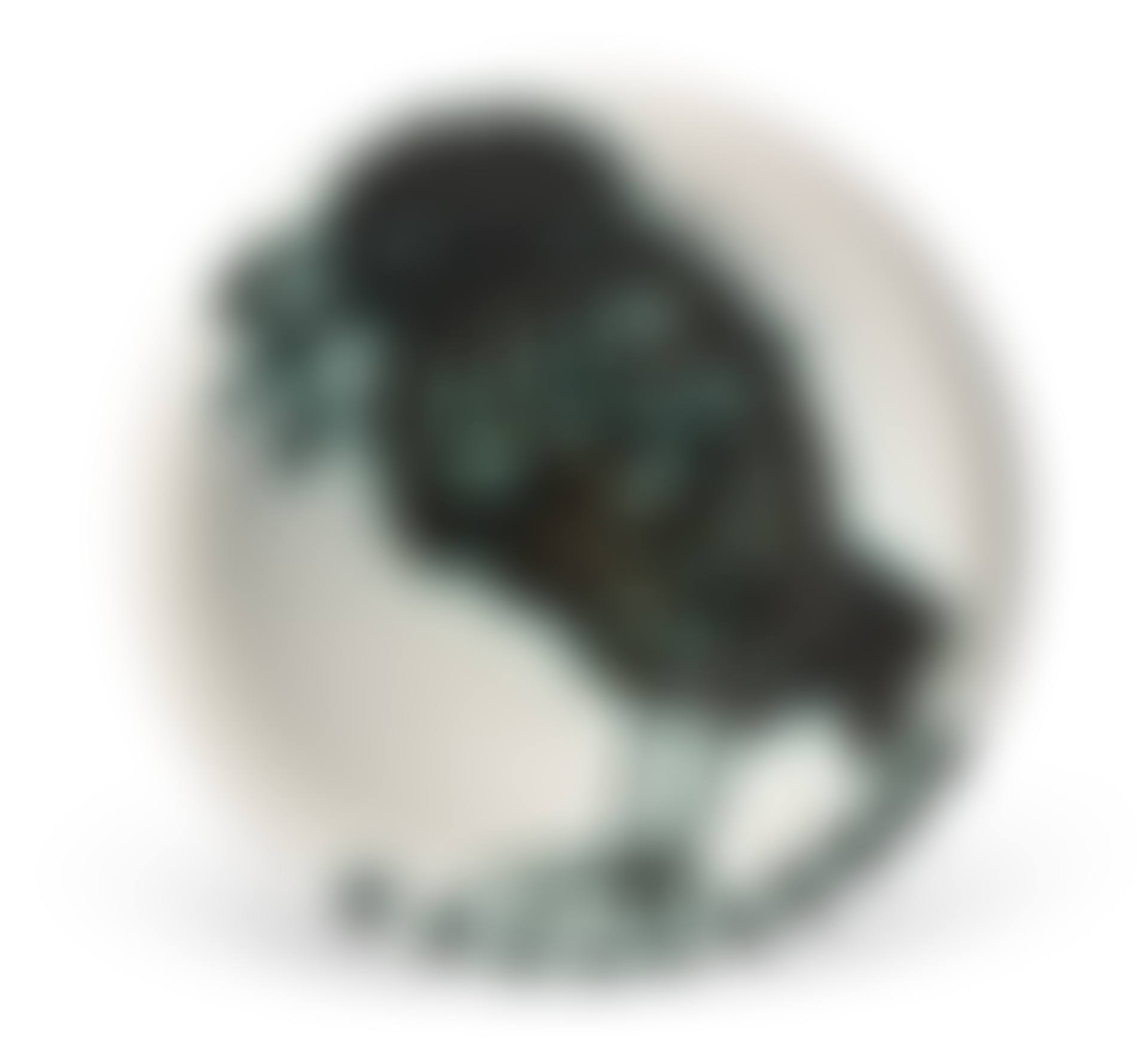 Oiseau au ver (A.R. 172) (preview)