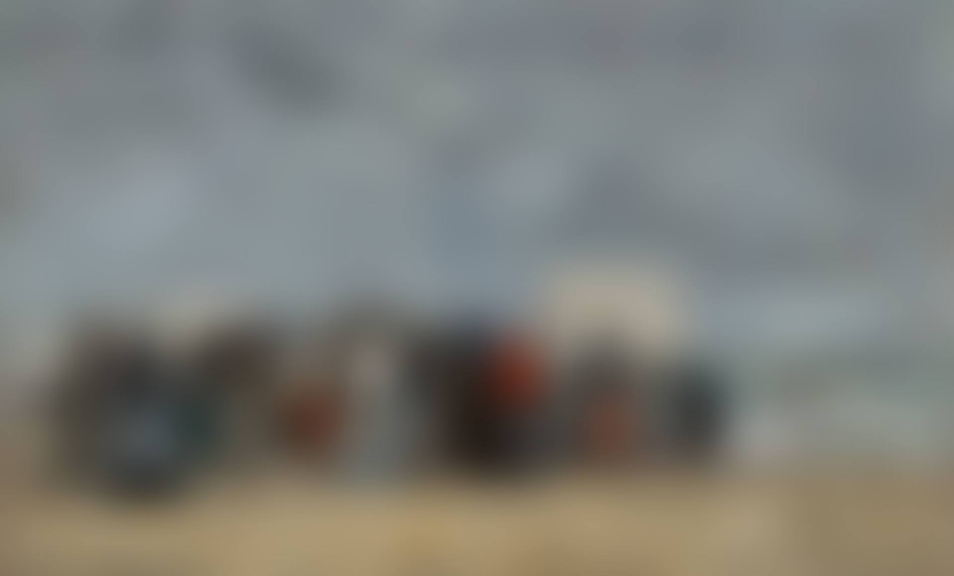 Trouville, Scène de plage (preview)