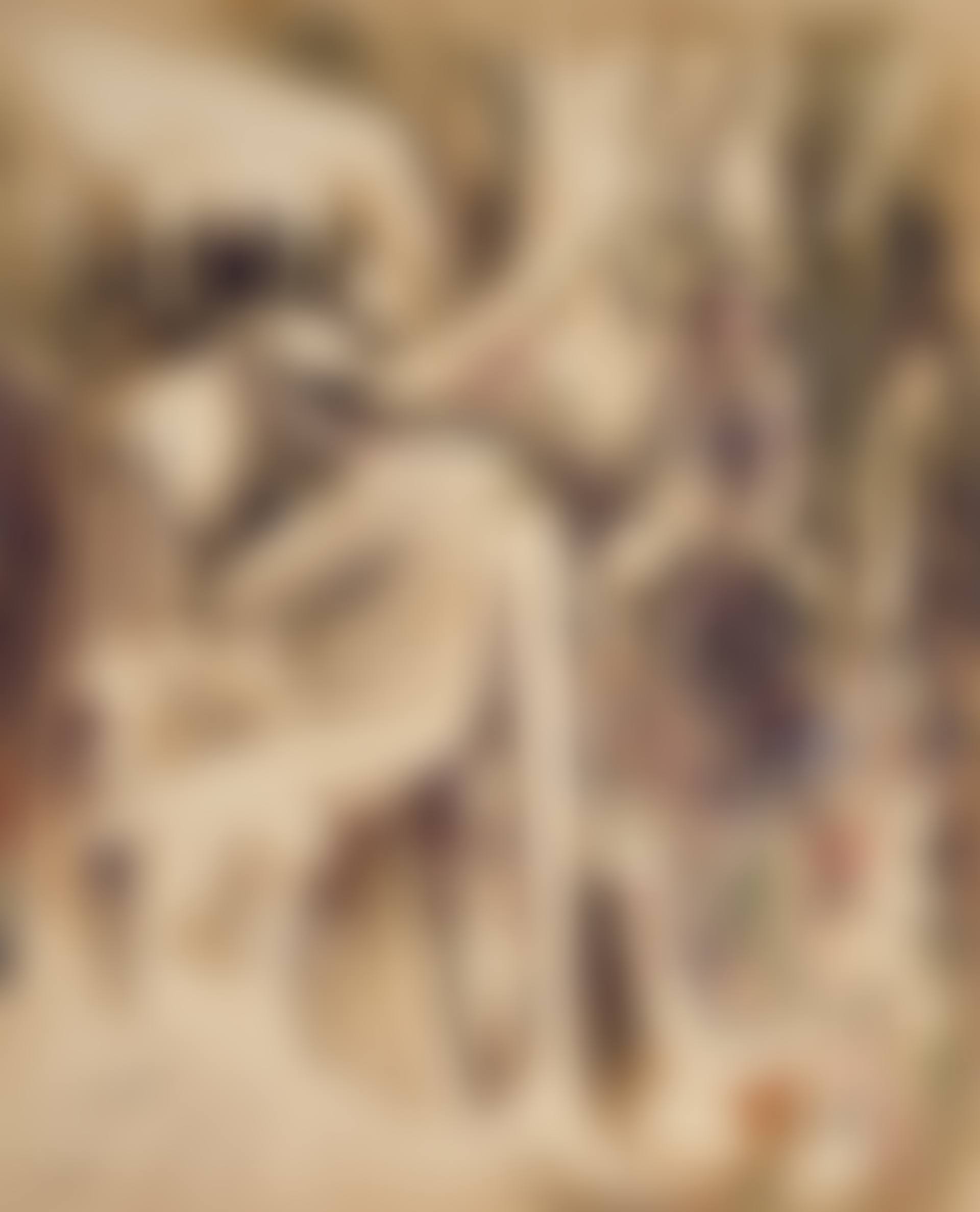 Ídolo (Oyá/Divinité de l"air et de la mort) (preview)