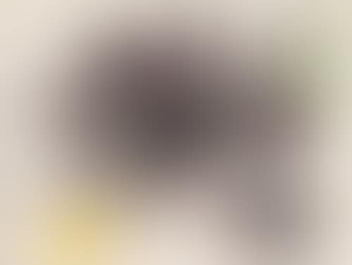 Untitled (preview)