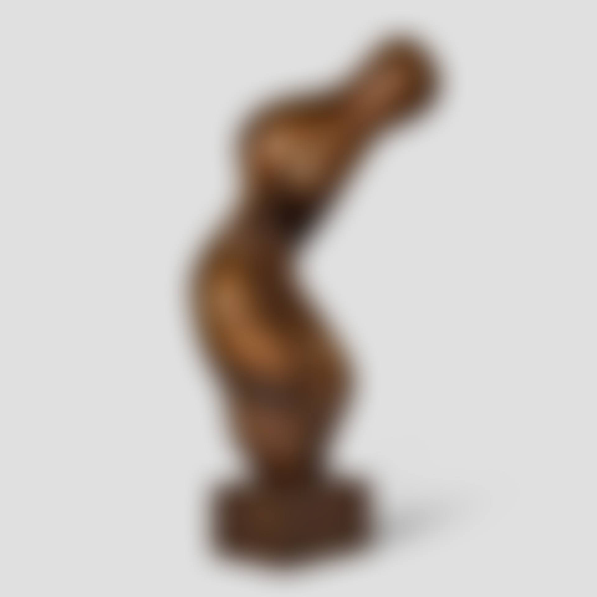 Torse-gerbe (preview)