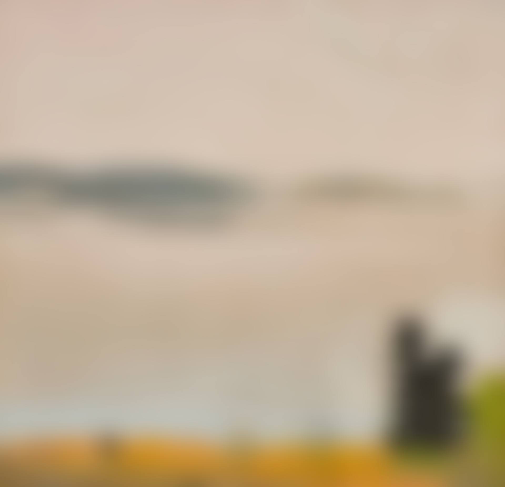 View from Spruce Head (preview)
