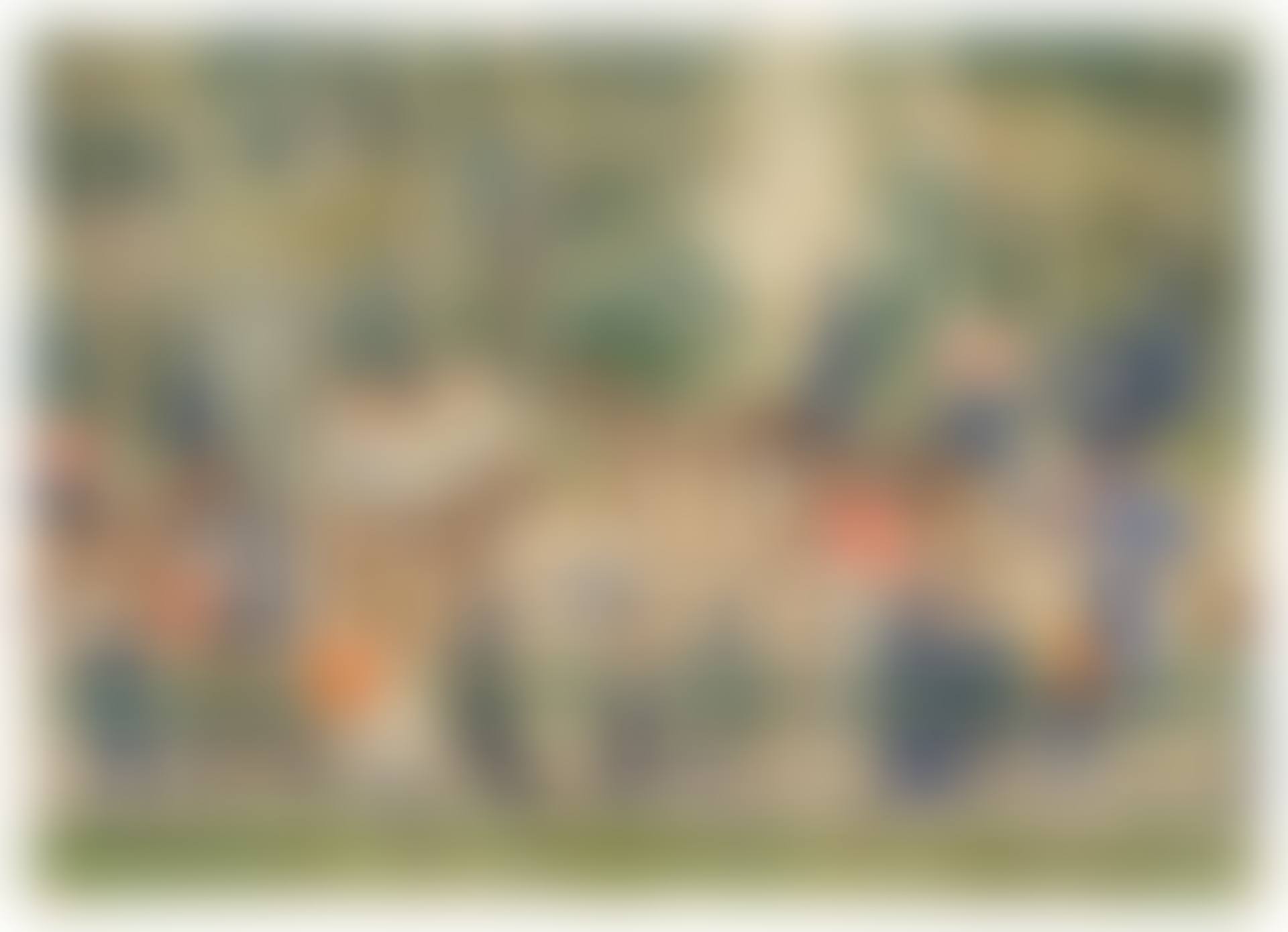 Central Park (preview)