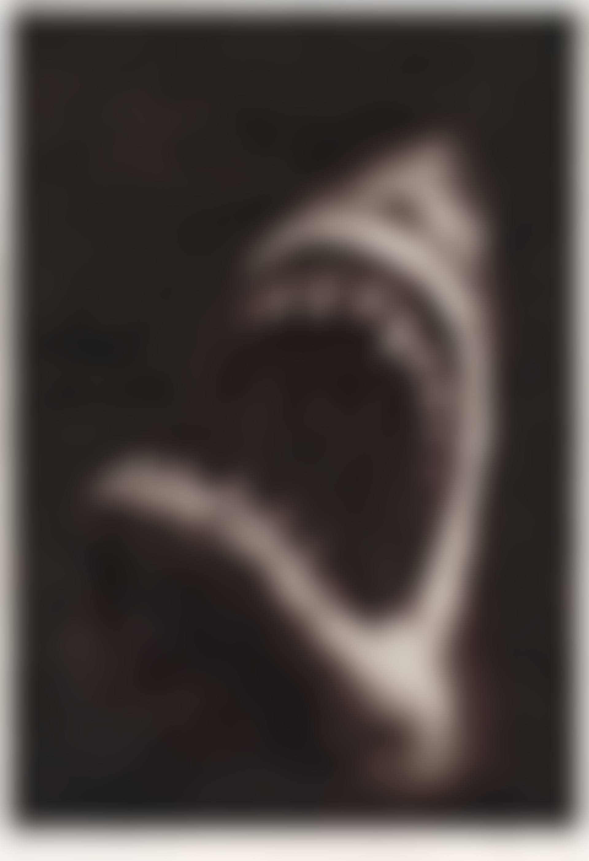 Shark Study 9 (preview)