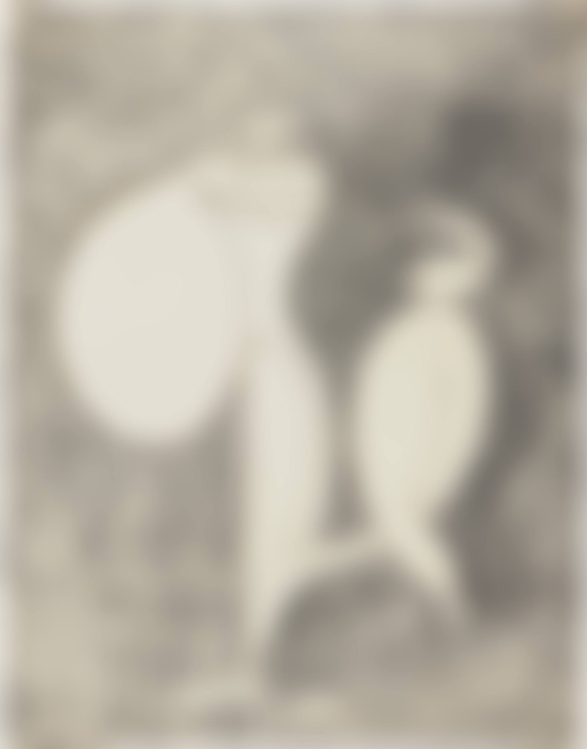 Ohne Titel (Untitled) (preview)