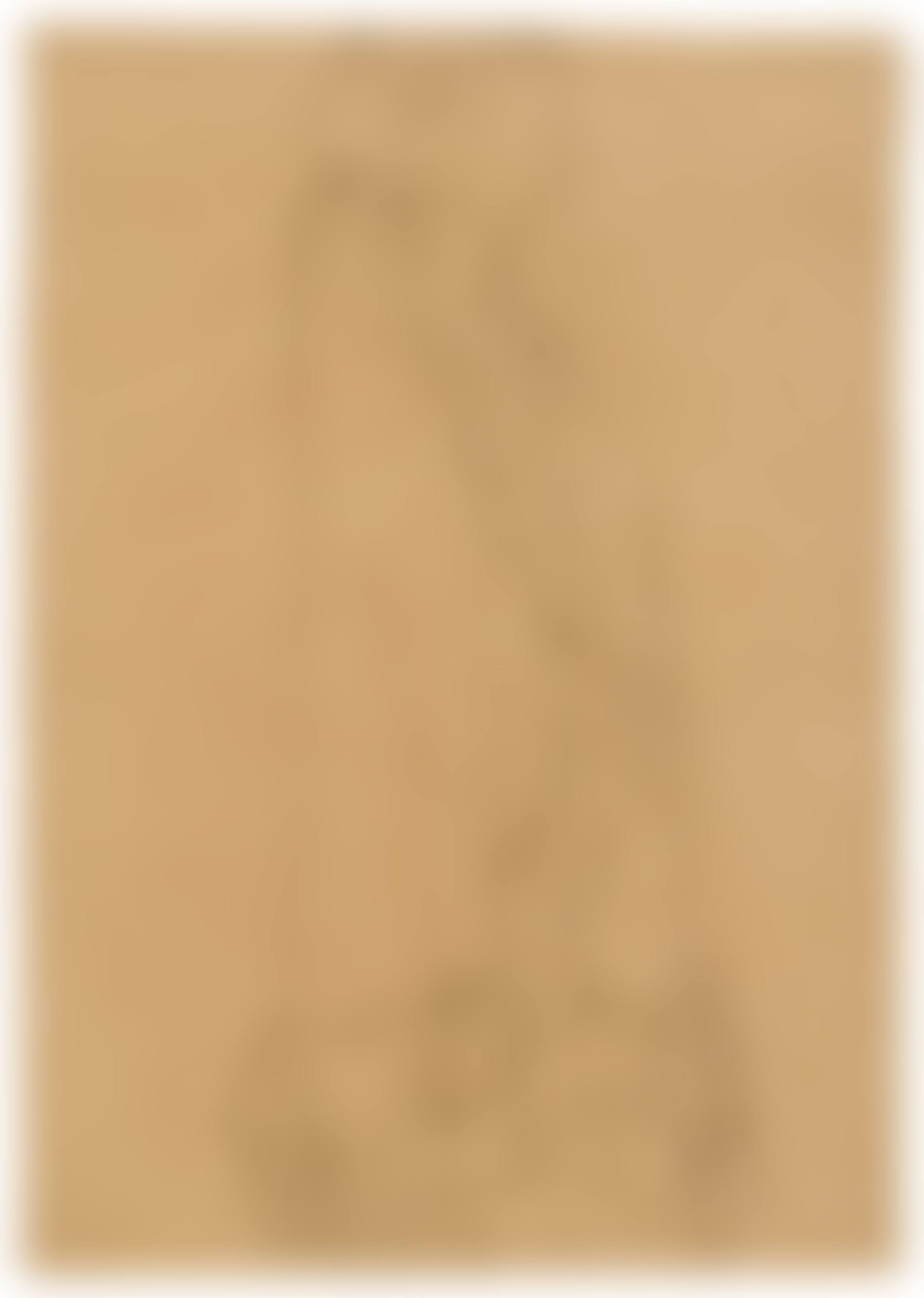 Stehend von vorne (Studie für Bildnis Adele Bloch-Bauer) (Study for Portrait I of Adele Bloch-Bauer) (preview)