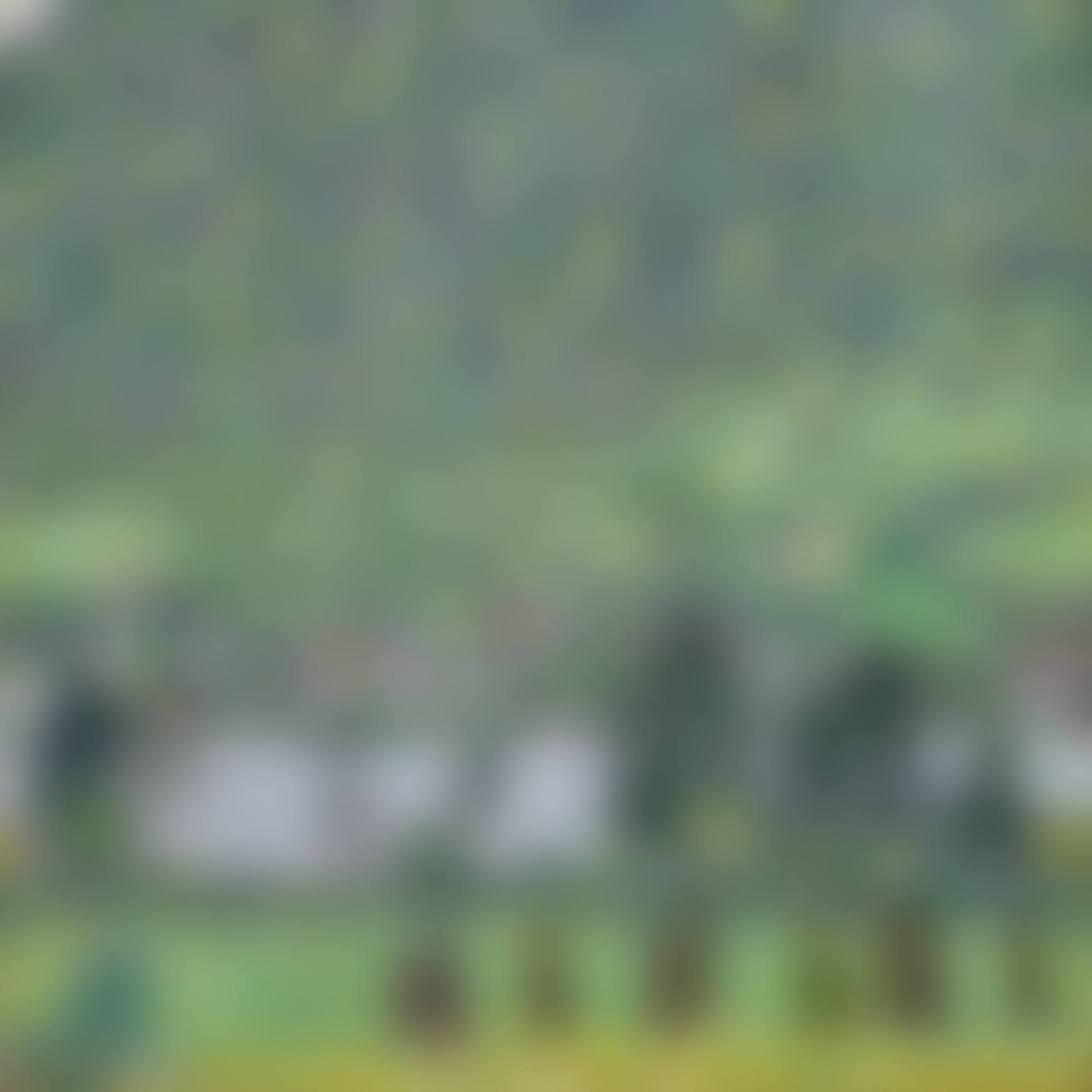 Waldabhang bei Unterach am Attersee (Forest Slope in Unterach on the Attersee) (preview)