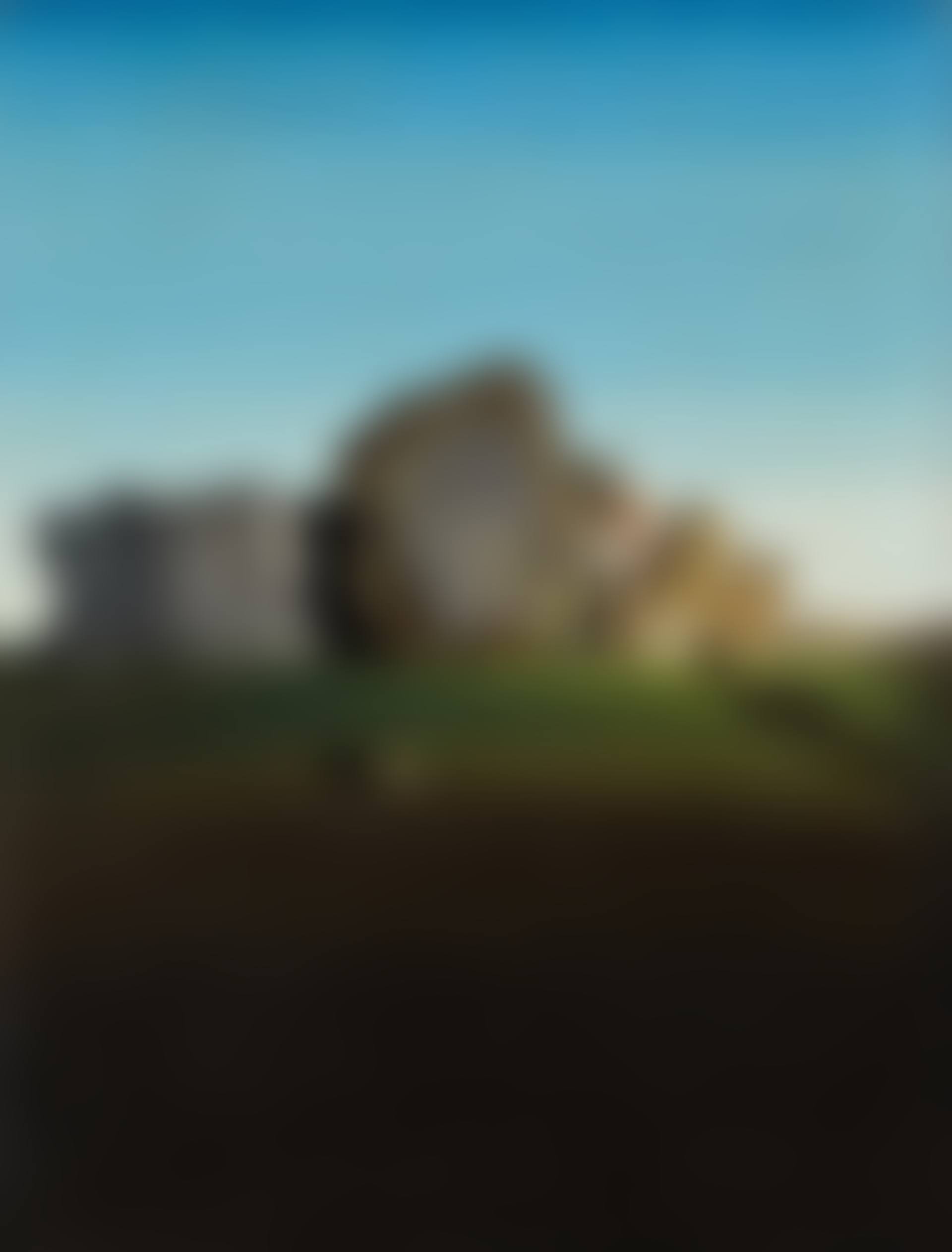Symbiose de la tête aux coquillages (preview)