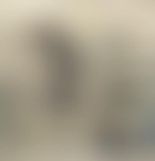 Senator Javits Poster (preview)