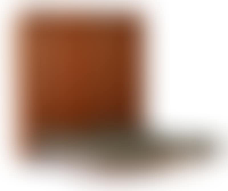 "“Ry 100” (preview)