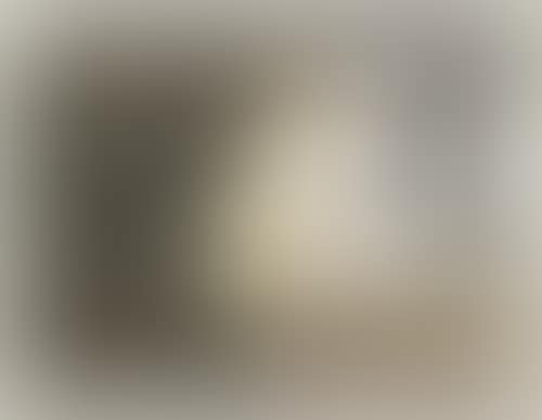 The Light That Won't Fail 1 (preview)
