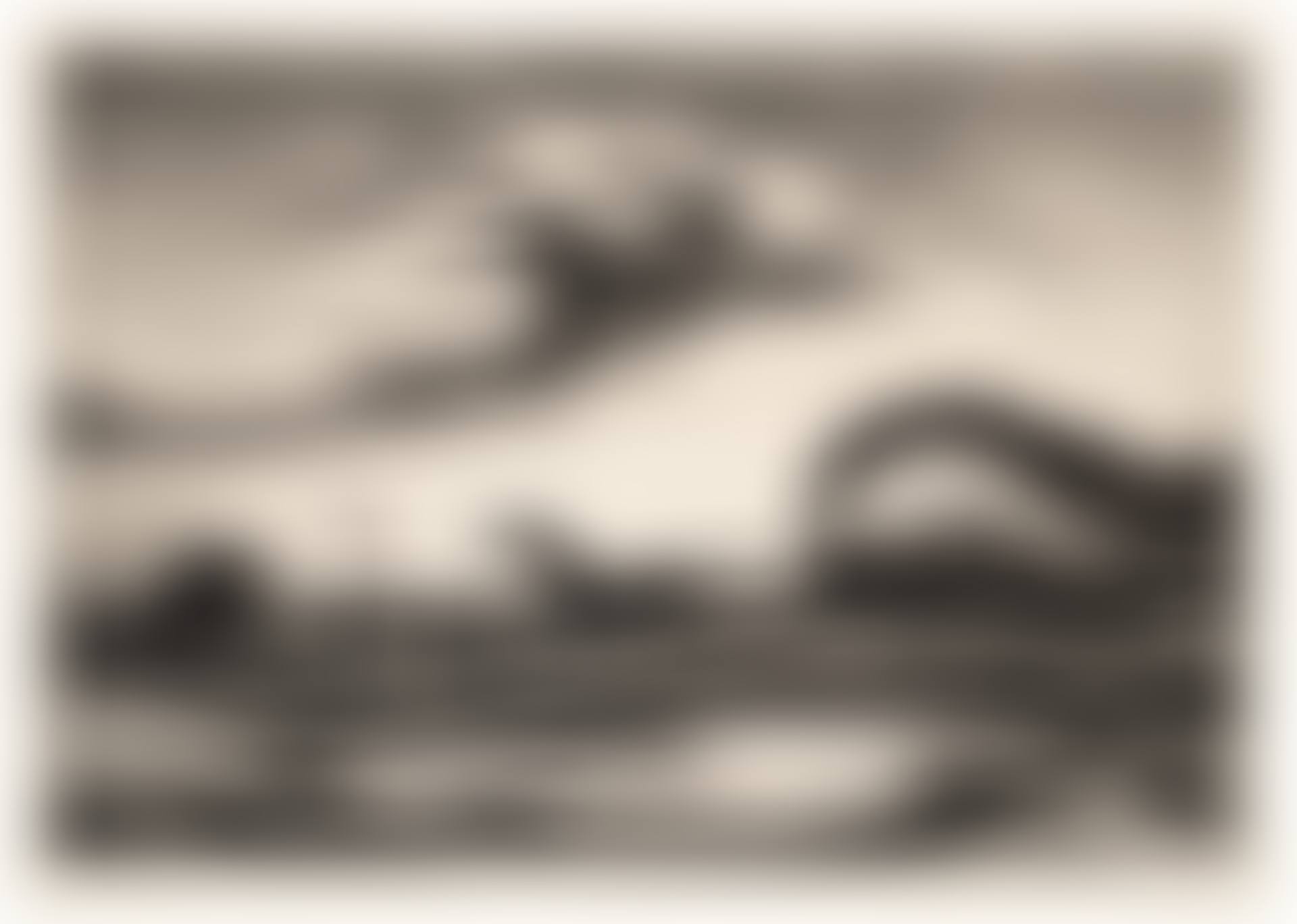 The Race (preview)