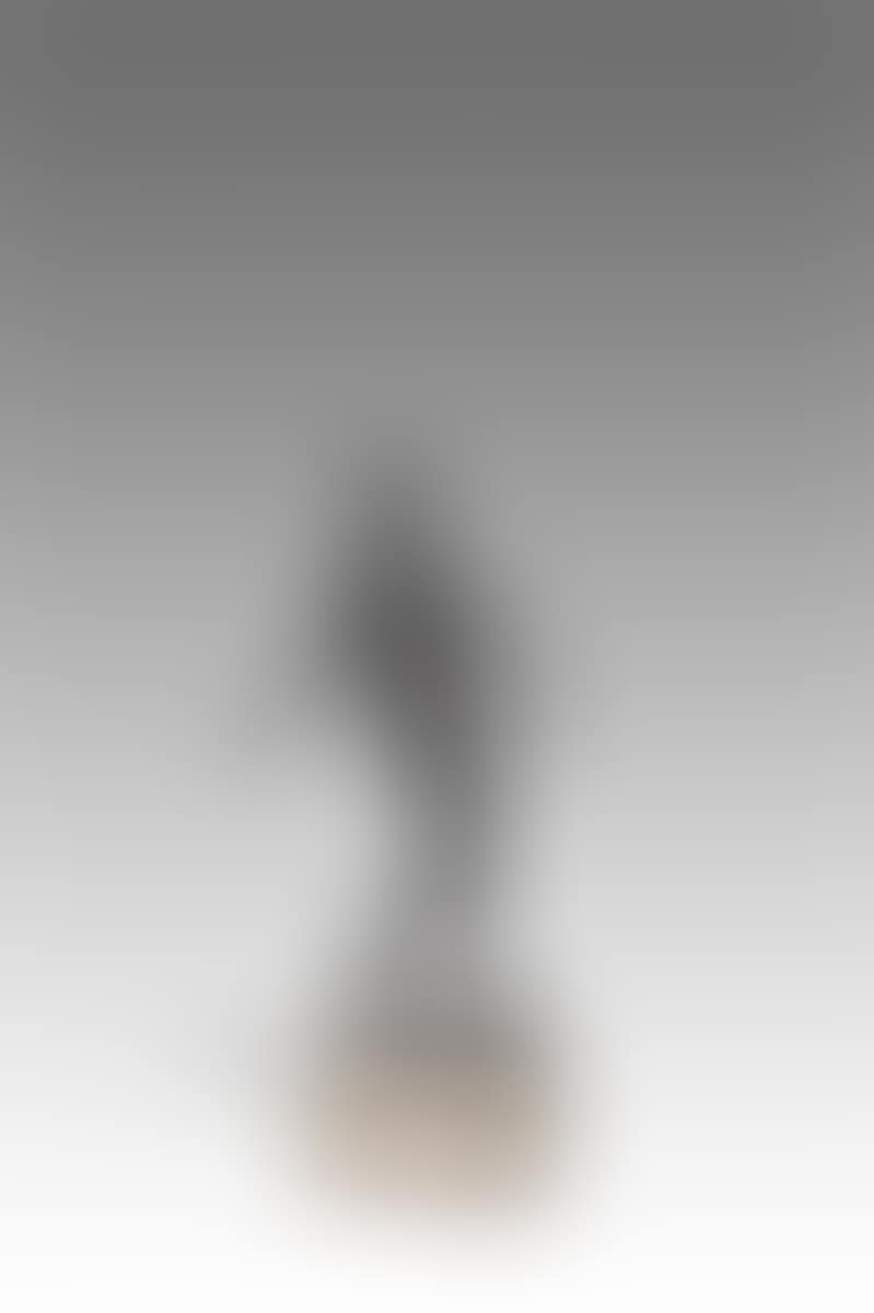 ”Tänzer Nijinsky” (preview)