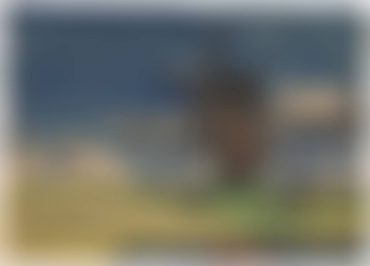 ”Bockwindmühle in Nordfriesland” (preview)