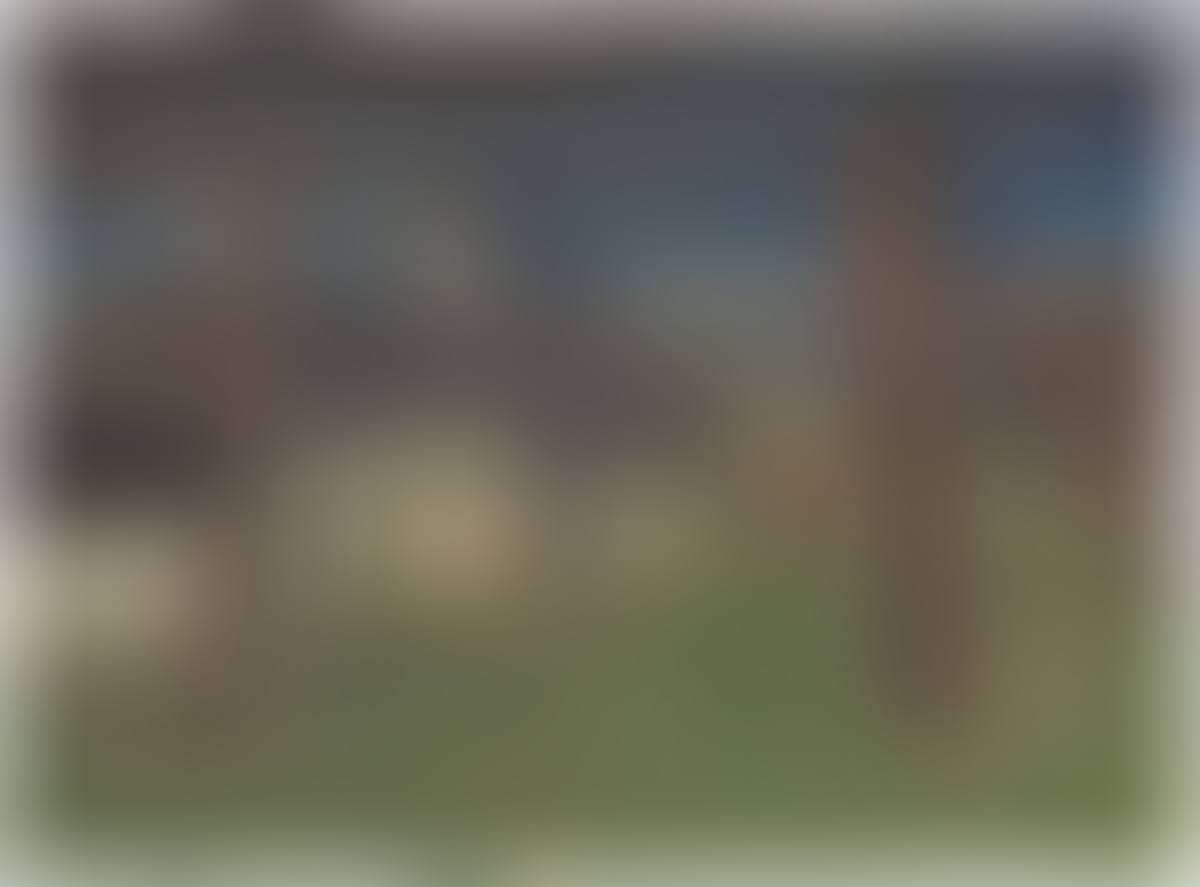 ”Friesische Bauernhäuser und Wäschestangen” (preview)