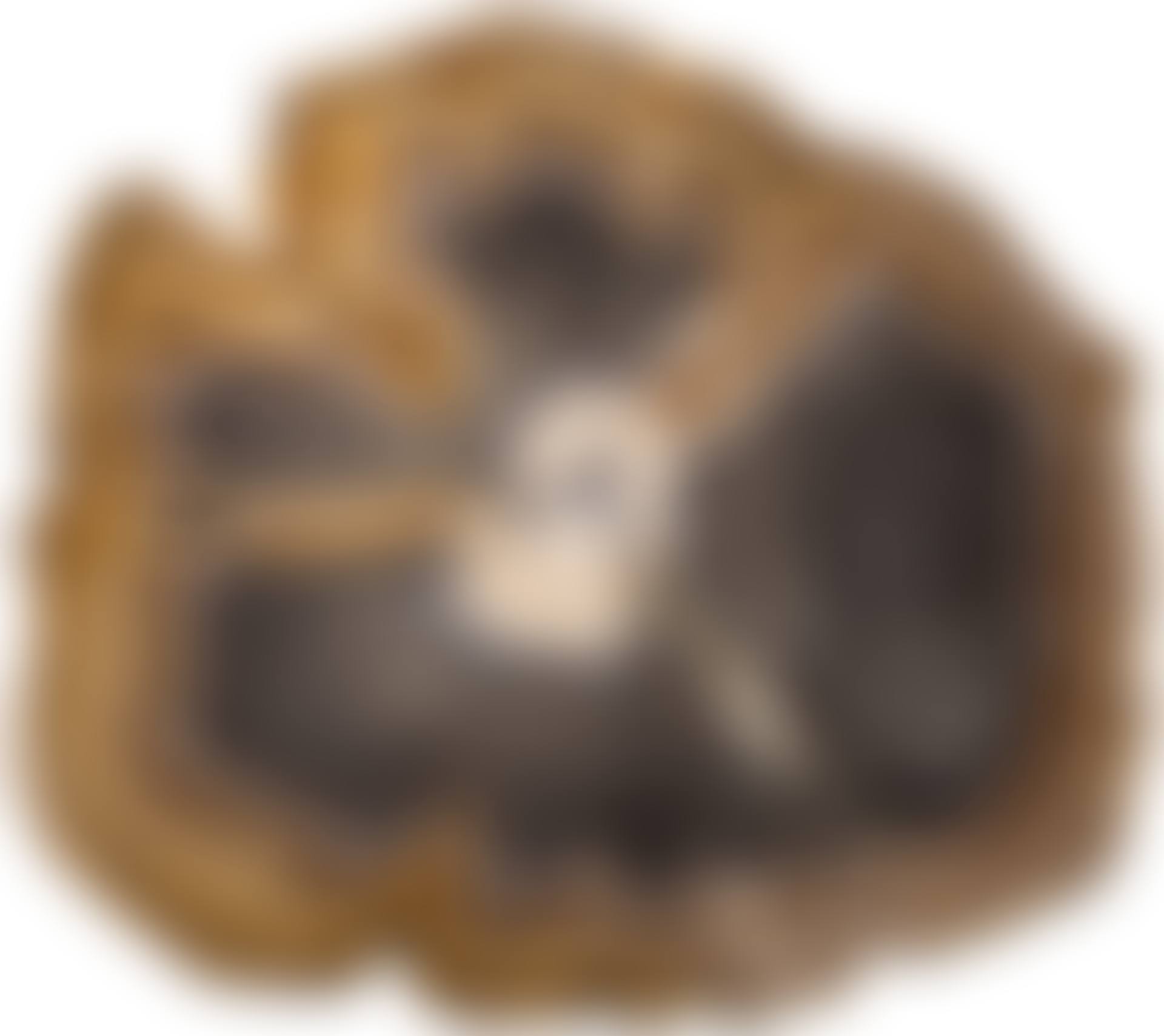 Memory of an Ancient Forest (preview)
