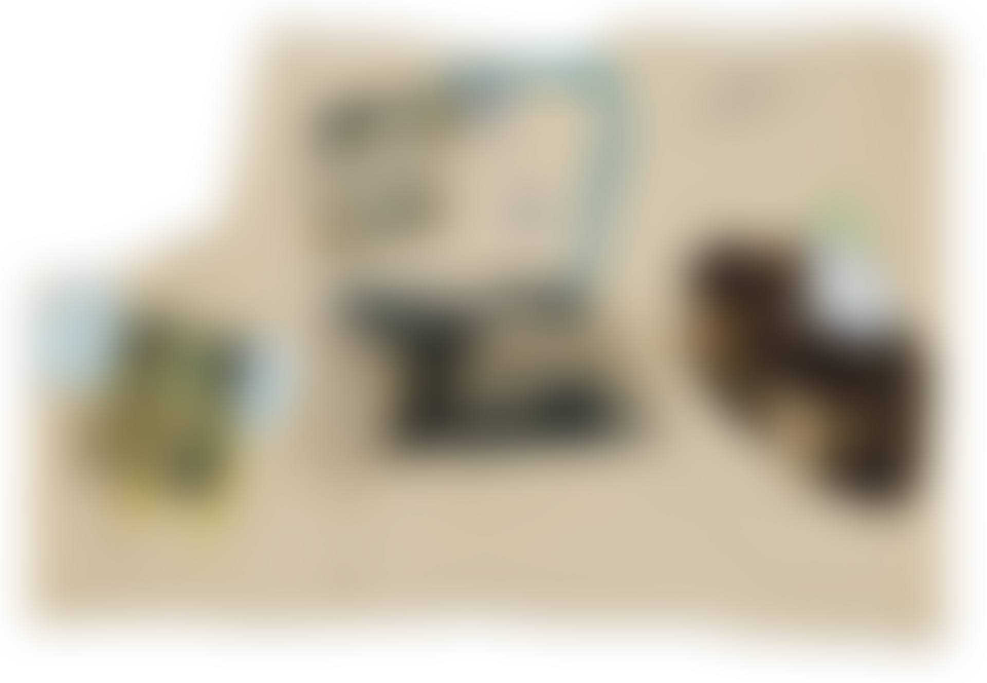 Untitled (preview)