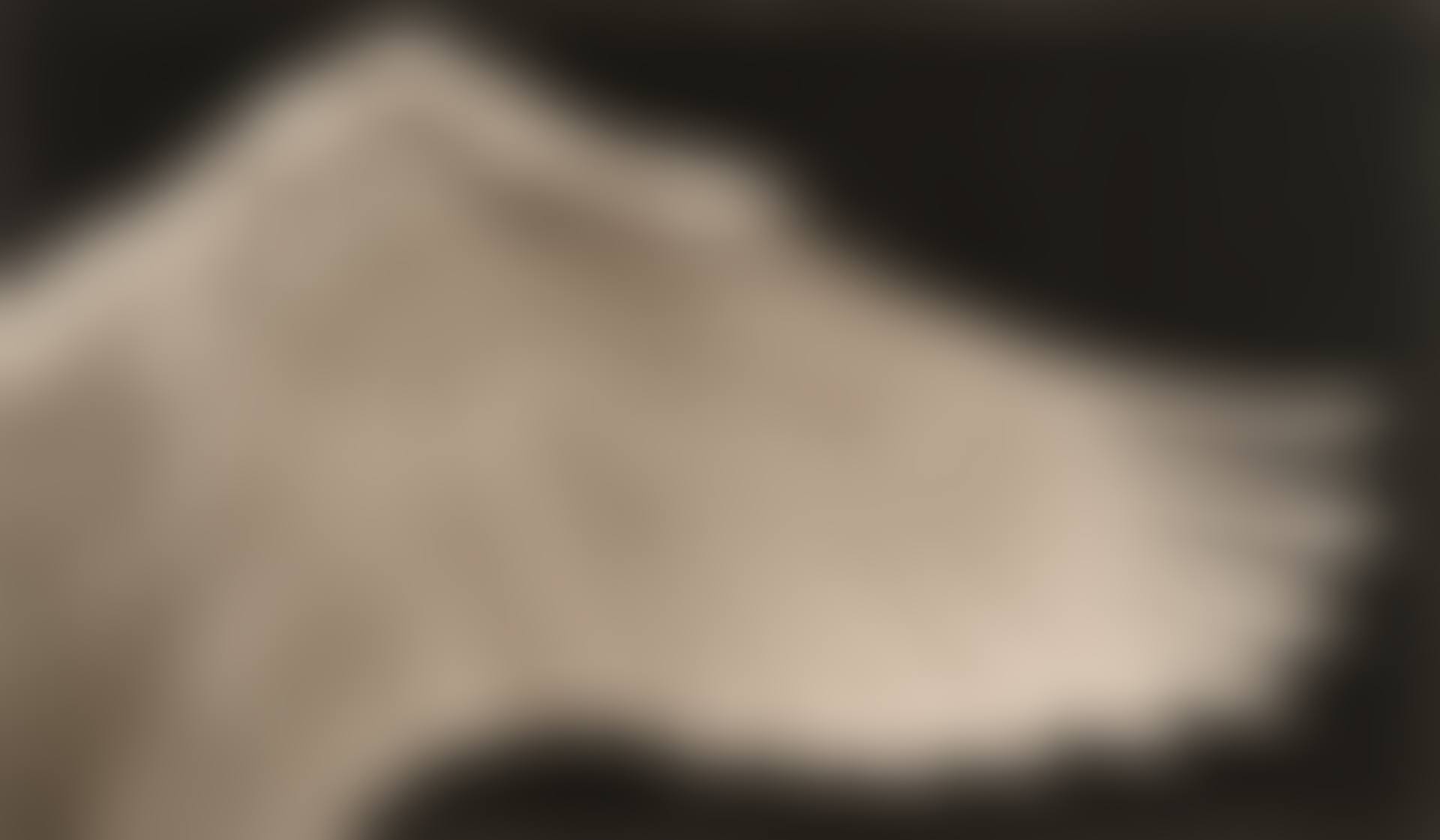 Study of Swan"s Wing (Right) (preview)