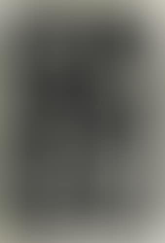 Untitled (preview)