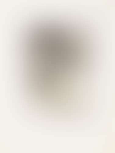Rembrandt à la palette (preview)