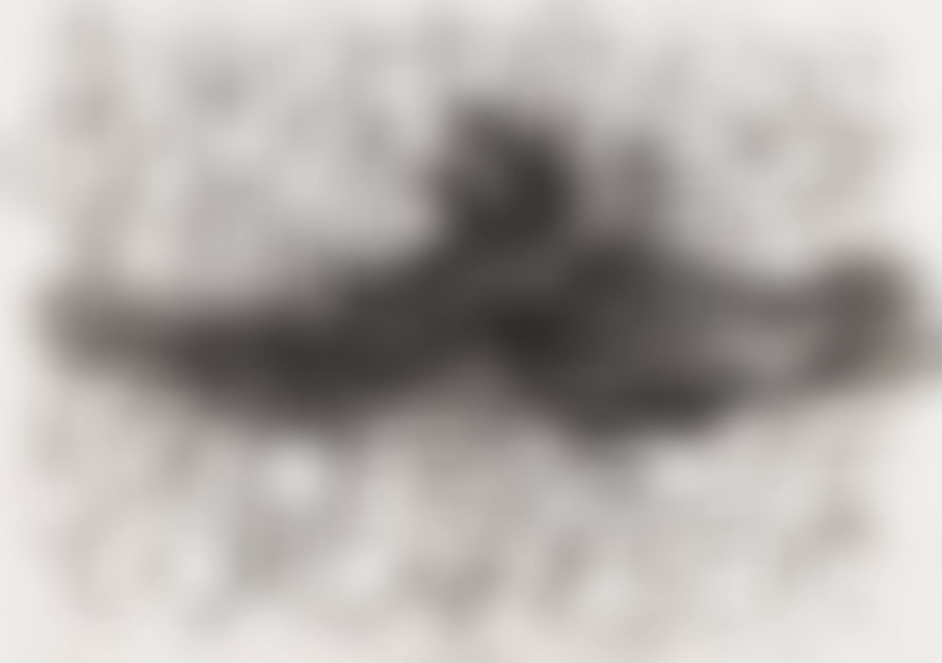 Untitled (Adler (Pastorale)) (preview)
