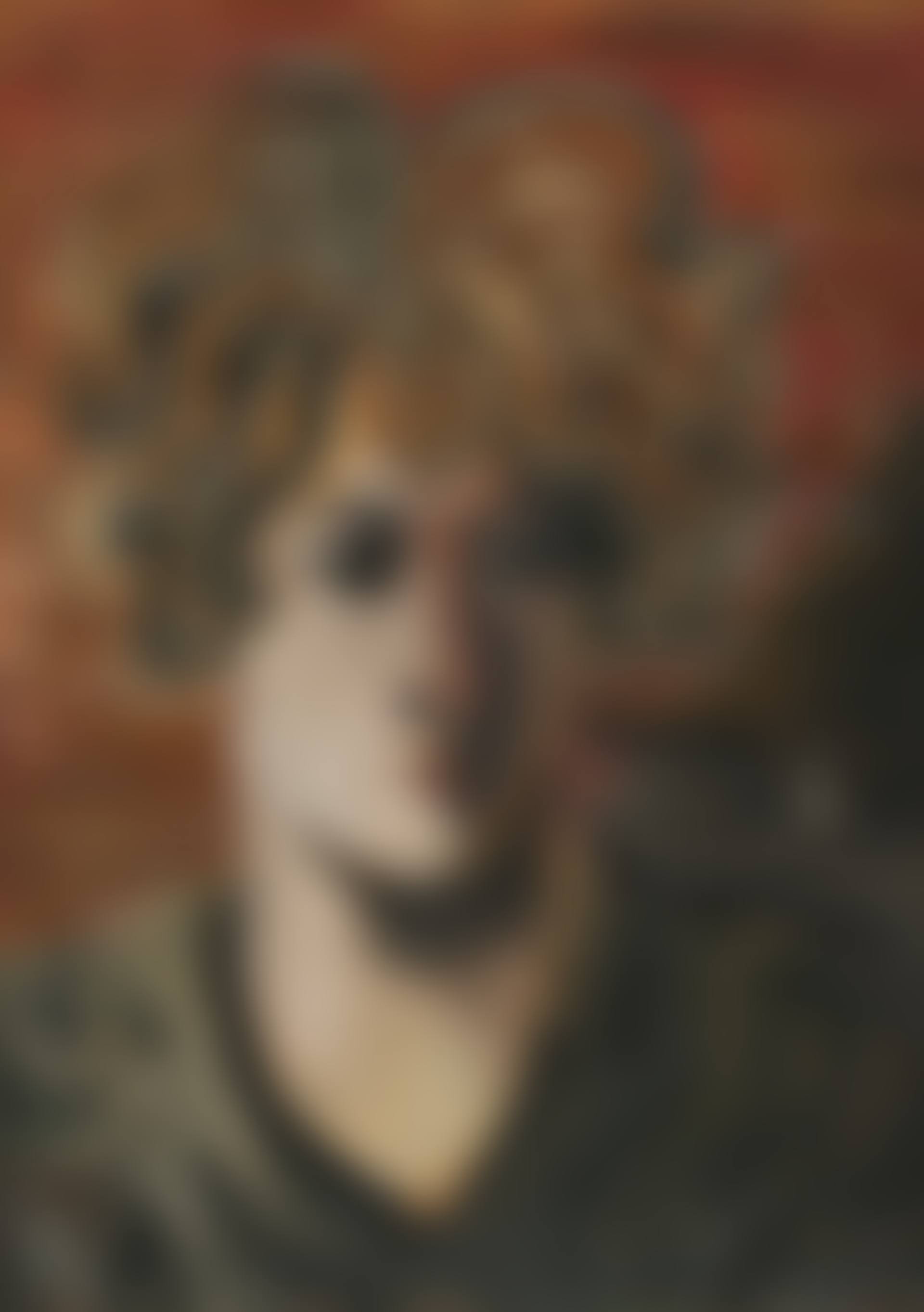 Frau mit dunkelbraunem Haar (preview)