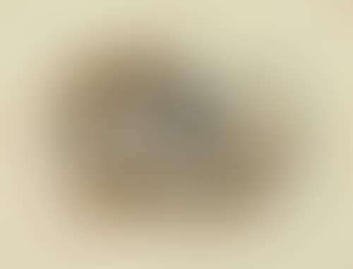 Nature morte (preview)