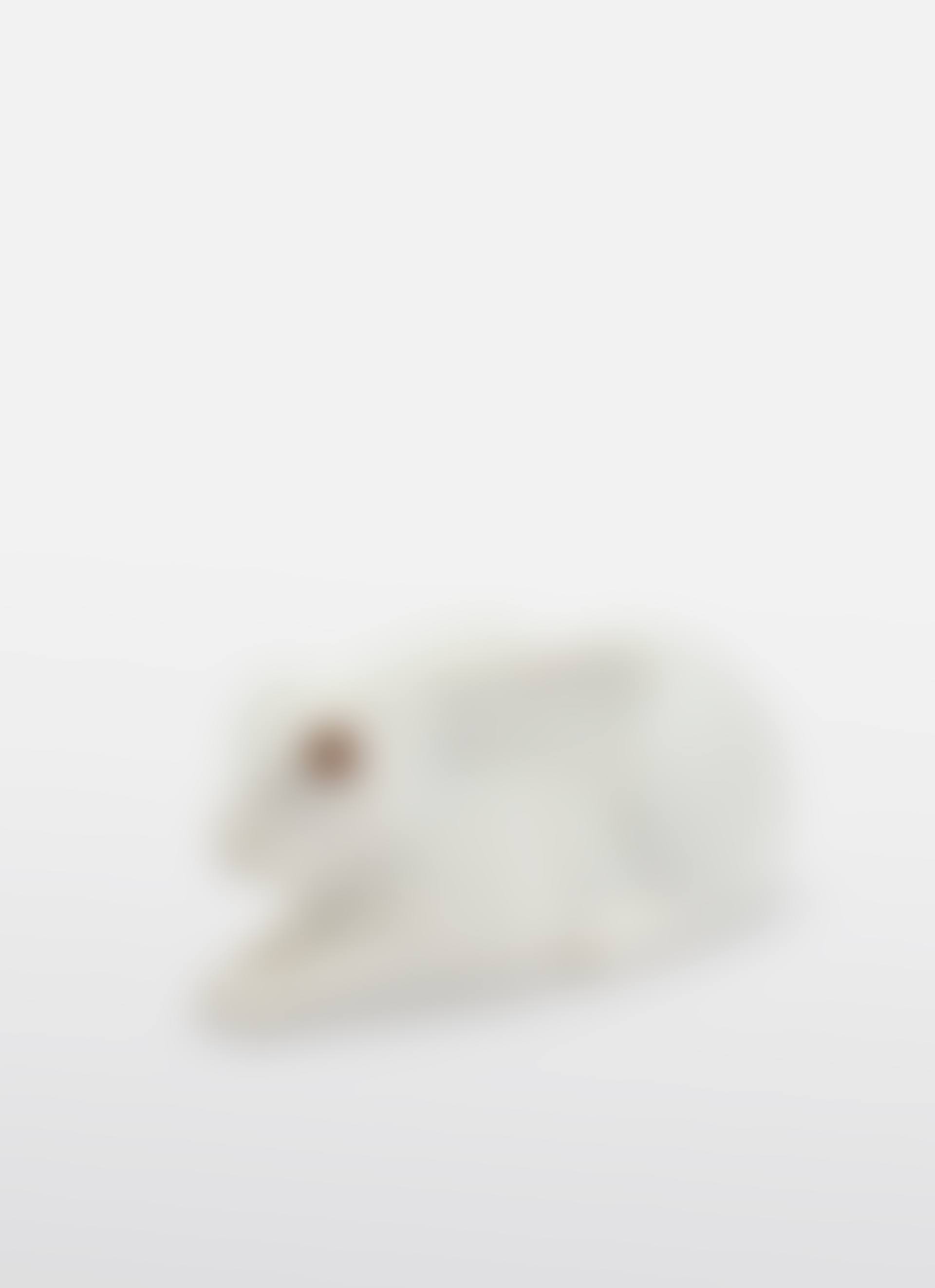 "Le Lapin" (preview)