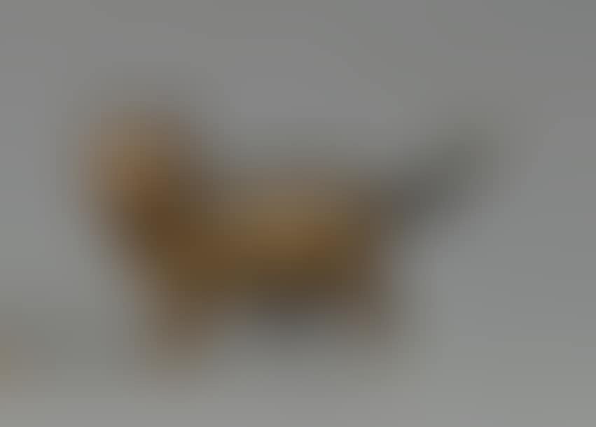 "Cat on the move" (preview)