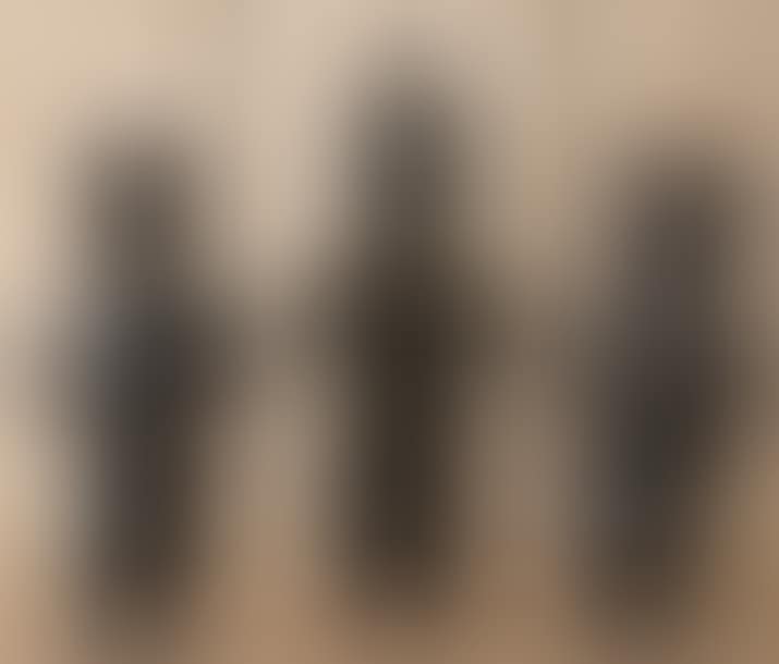 Dignitary and two men (preview)