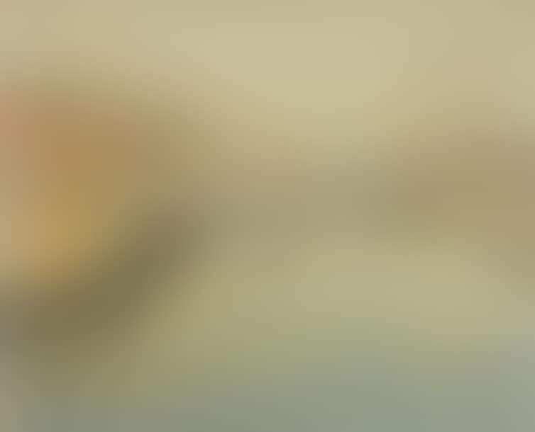 "The port of Sete" (preview)